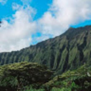 Meet your Posher, Corina